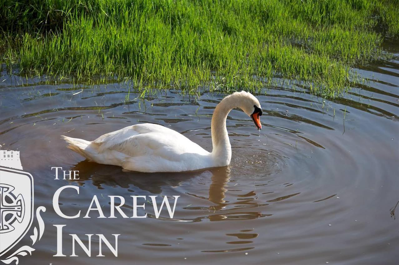 Carew Inn Екстер'єр фото